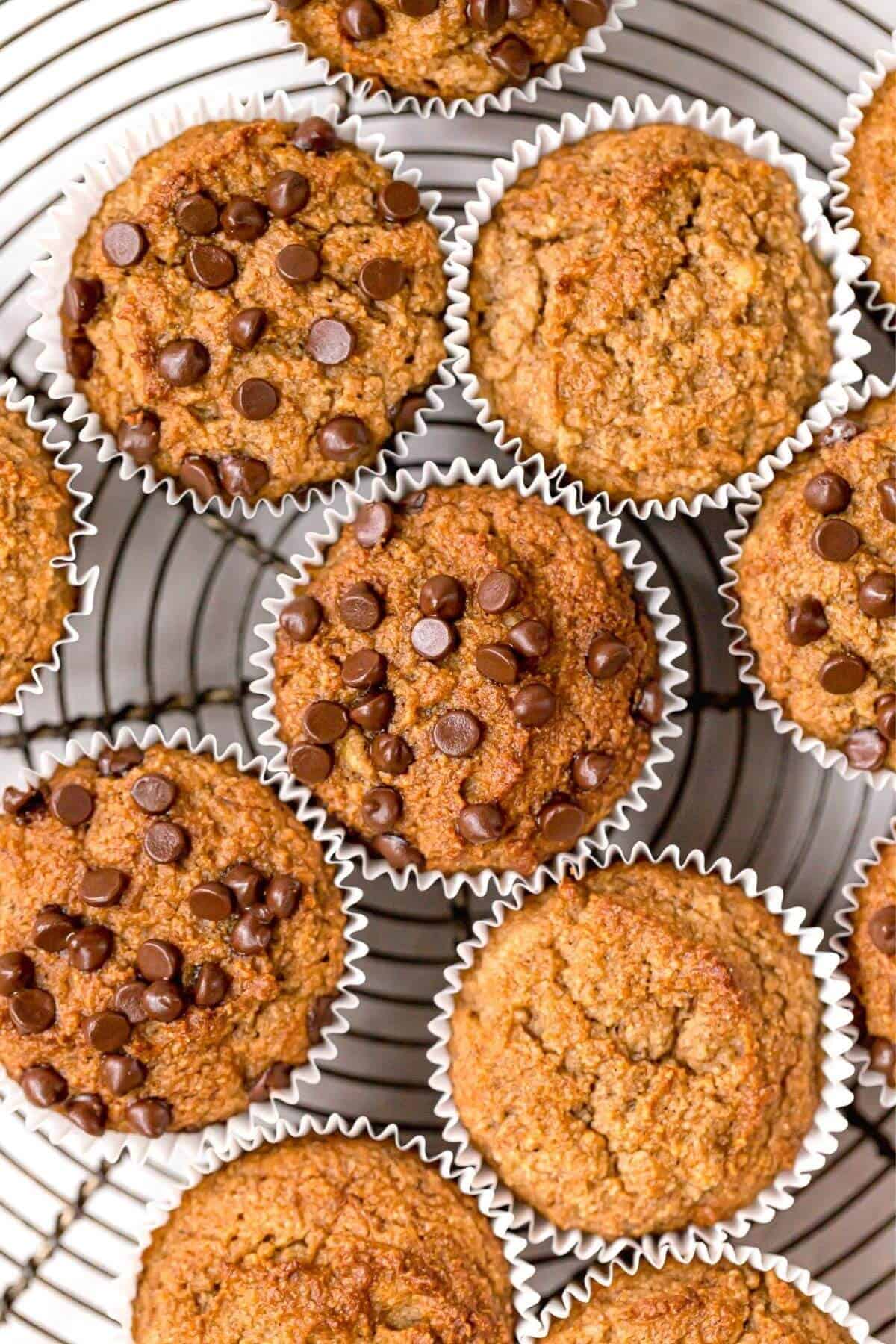 Moist gluten free chocolate chip banana muffins made with almond flour.