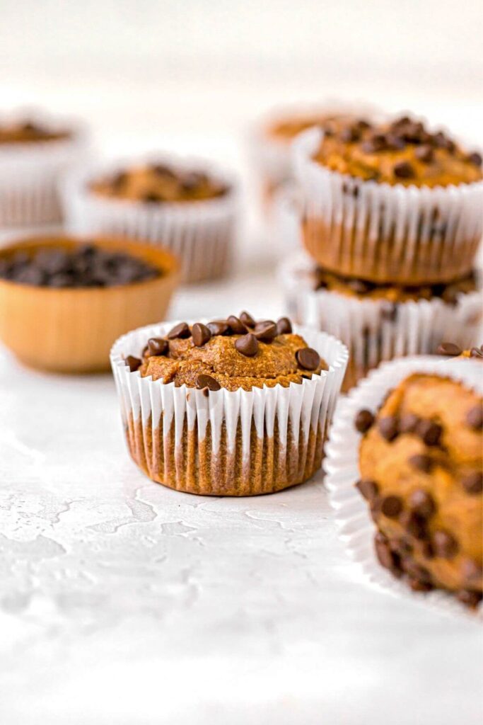 protein powder pumpkin muffins with chocolate chips