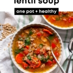 healthy turkey lentil soup
