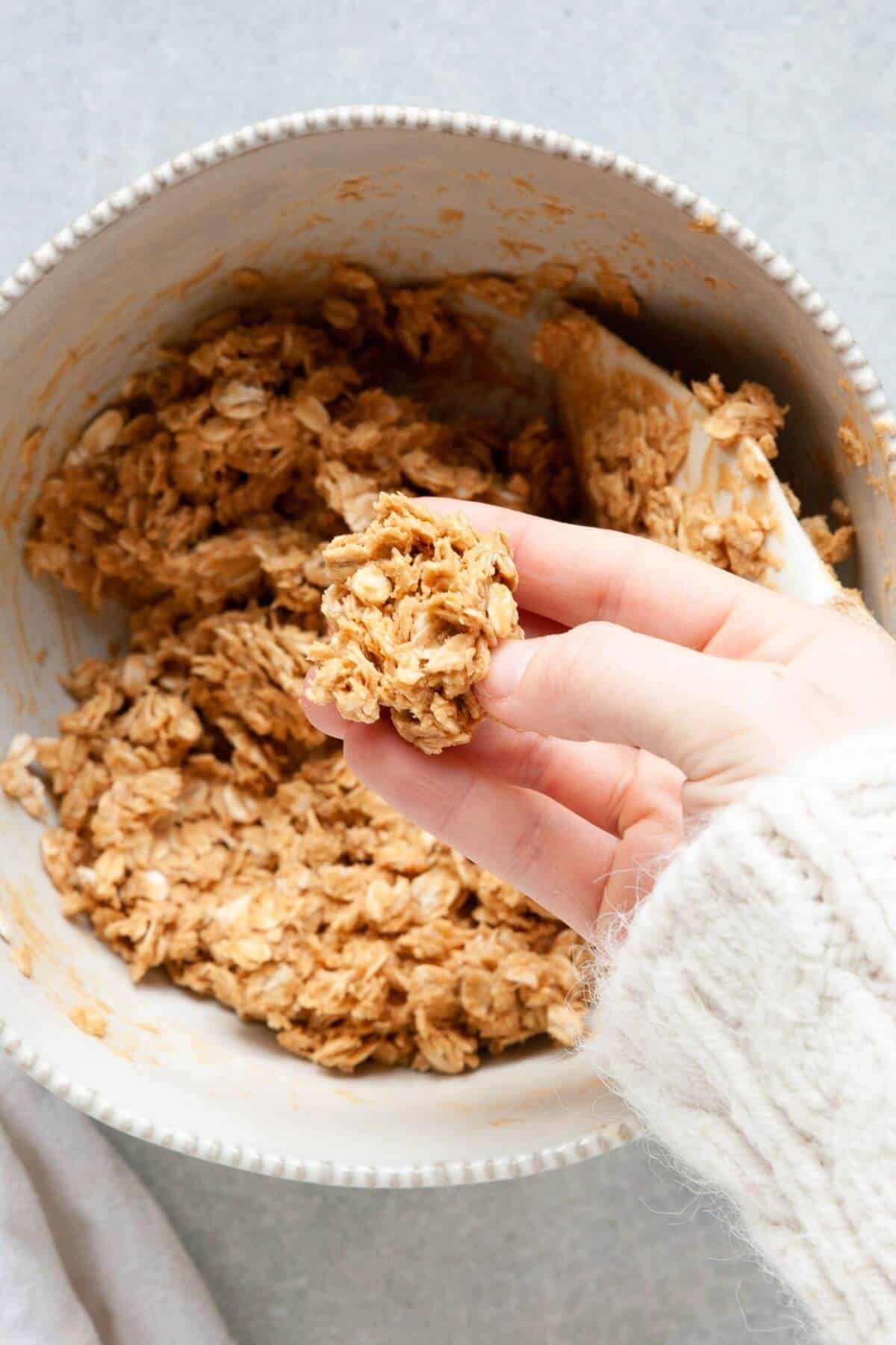peanut butter oatmeal ball mixture in a bowl