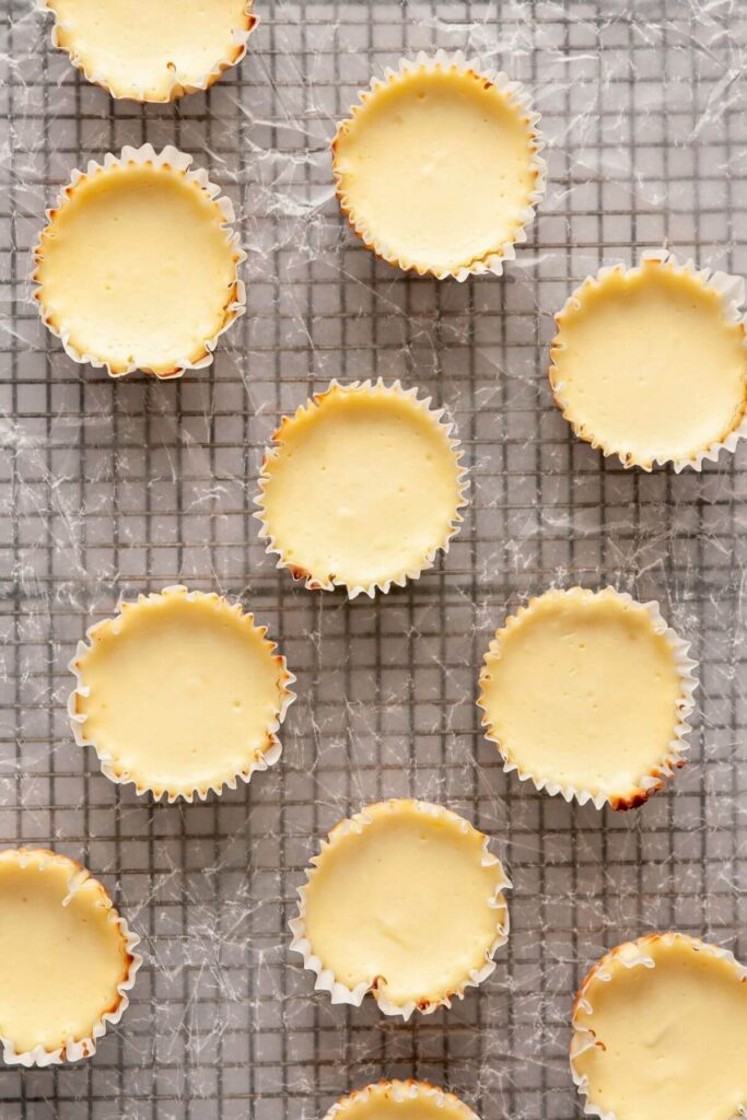 mini protein cheesecakes after setting in the refrigerator