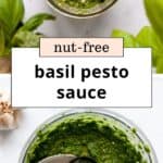 Nut-Free Pesto Sauce Recipe (No Pine Nuts!)
