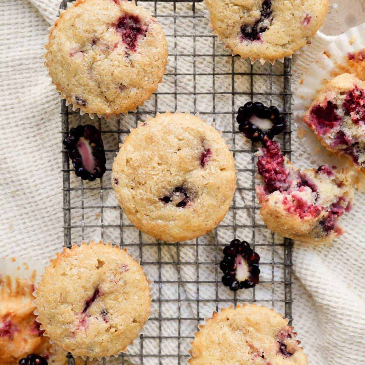 Gluten Free Blackberry Muffins - Healthful Blondie