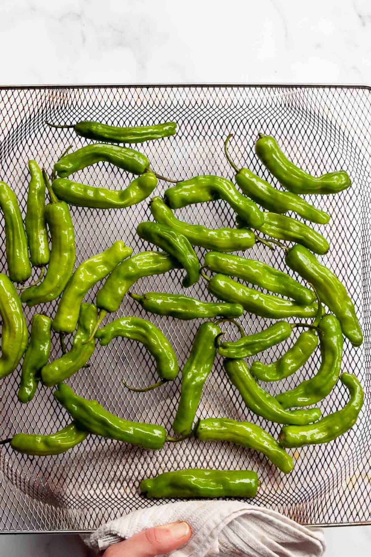 Seasoned shishito peppers uncooked in air fryer basket.