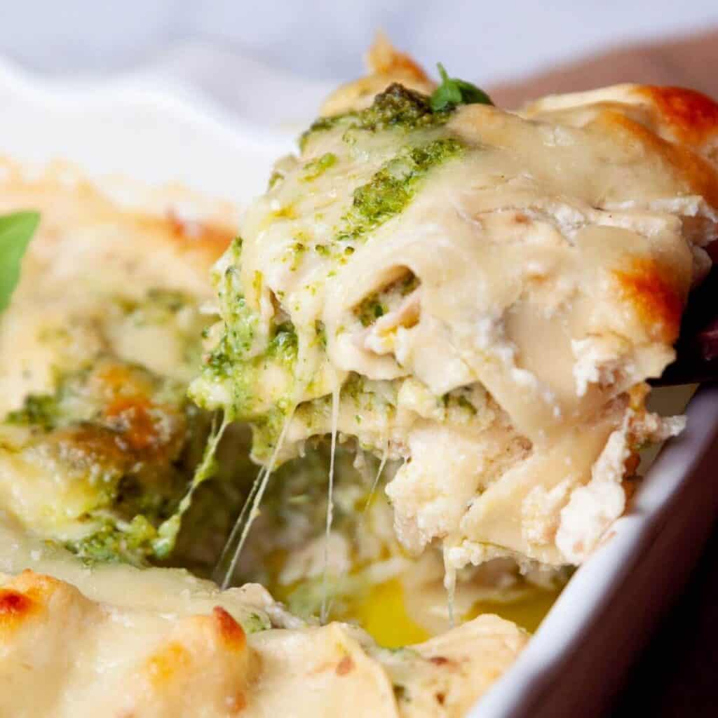 Chicken and Broccoli Lasagna Healthful Blondie