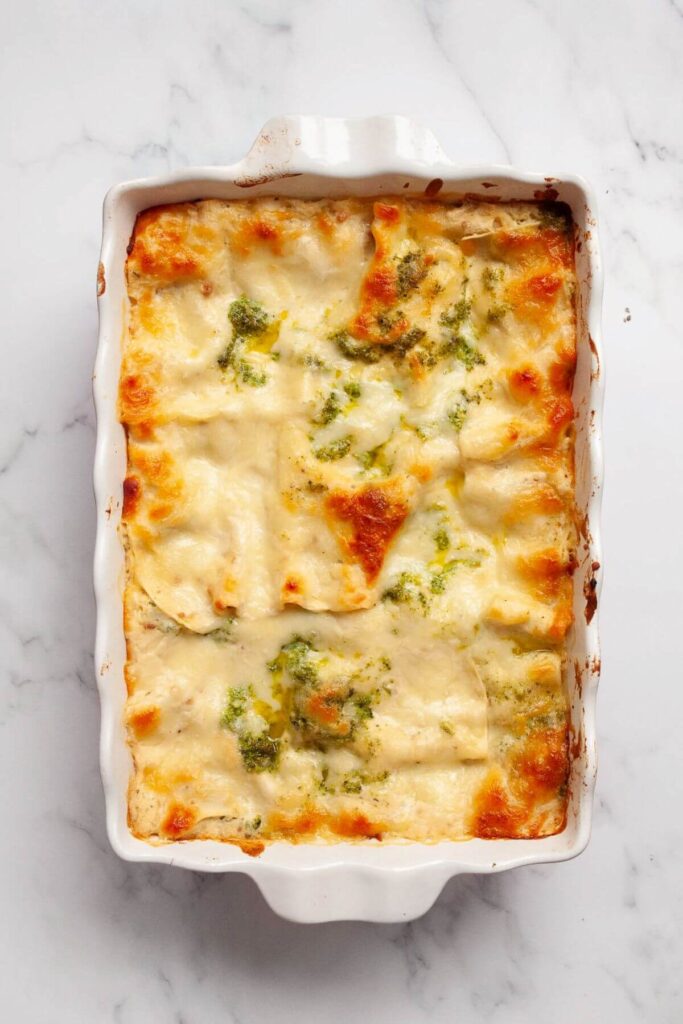 baked chicken and broccoli lasagna in a casserole dish