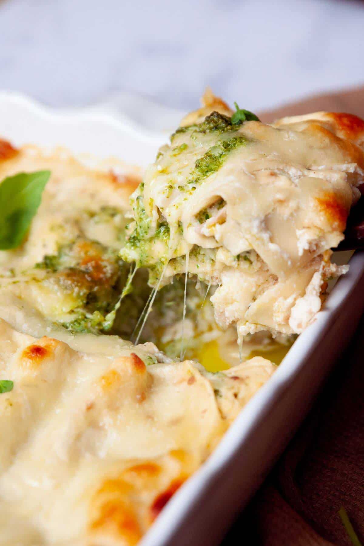 Chicken and Broccoli Lasagna Healthful Blondie