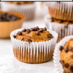 Pumpkin Protein Muffins Recipe (with Protein Powder)