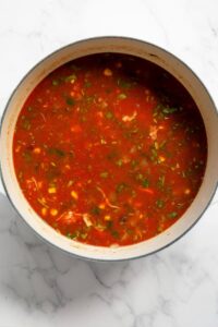 chicken tortilla soup in a pot