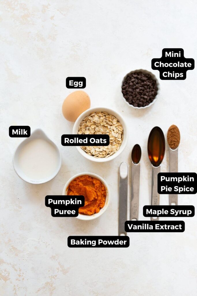 all ingredients in blender pumpkin baked oats with labels
