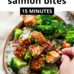 Best Air Fryer Teriyaki Salmon Bites Recipe (Healthy)
