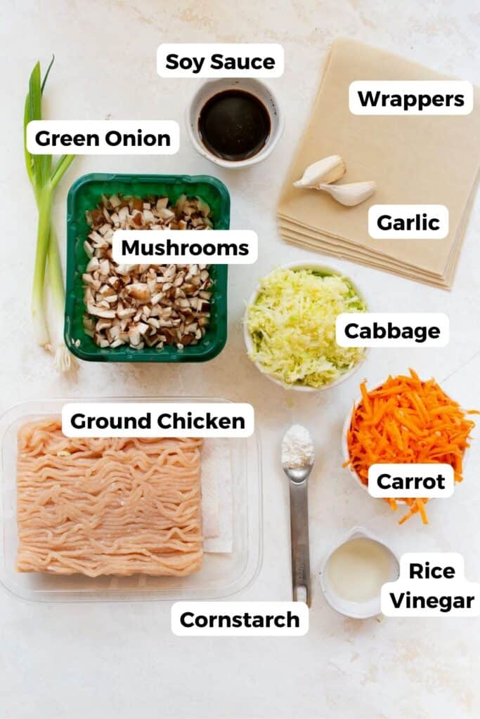 all ten ingredients in spring rolls in small bowls with labels