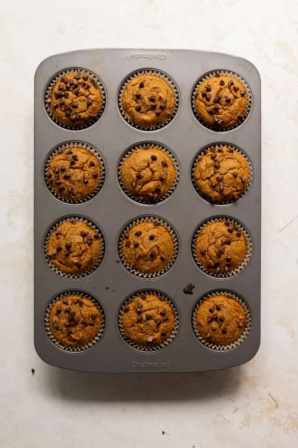 Freshly baked pumpkin protein muffins in a cupcake tin, golden and topped with chocolate chips.