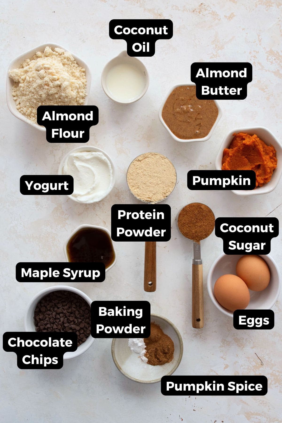 All the ingredients for pumpkin protein muffins in small bowls, each with labels including almond flour, pumpkin purée, Greek yogurt, protein powder, eggs, maple syrup, almond butter, and spices.