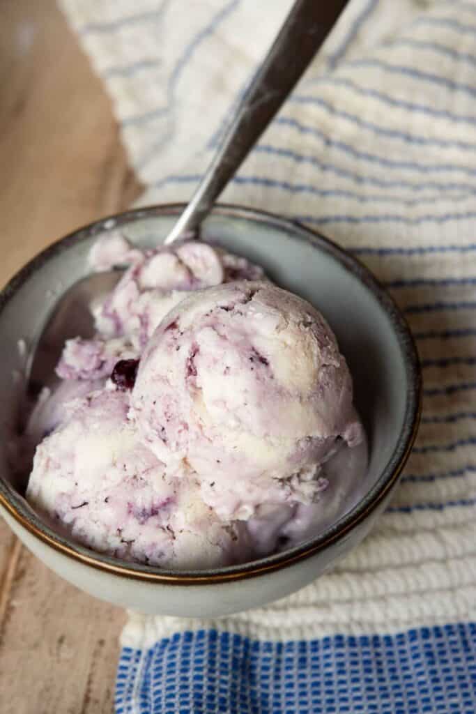 easy blueberry protein cottage cheese ice cream