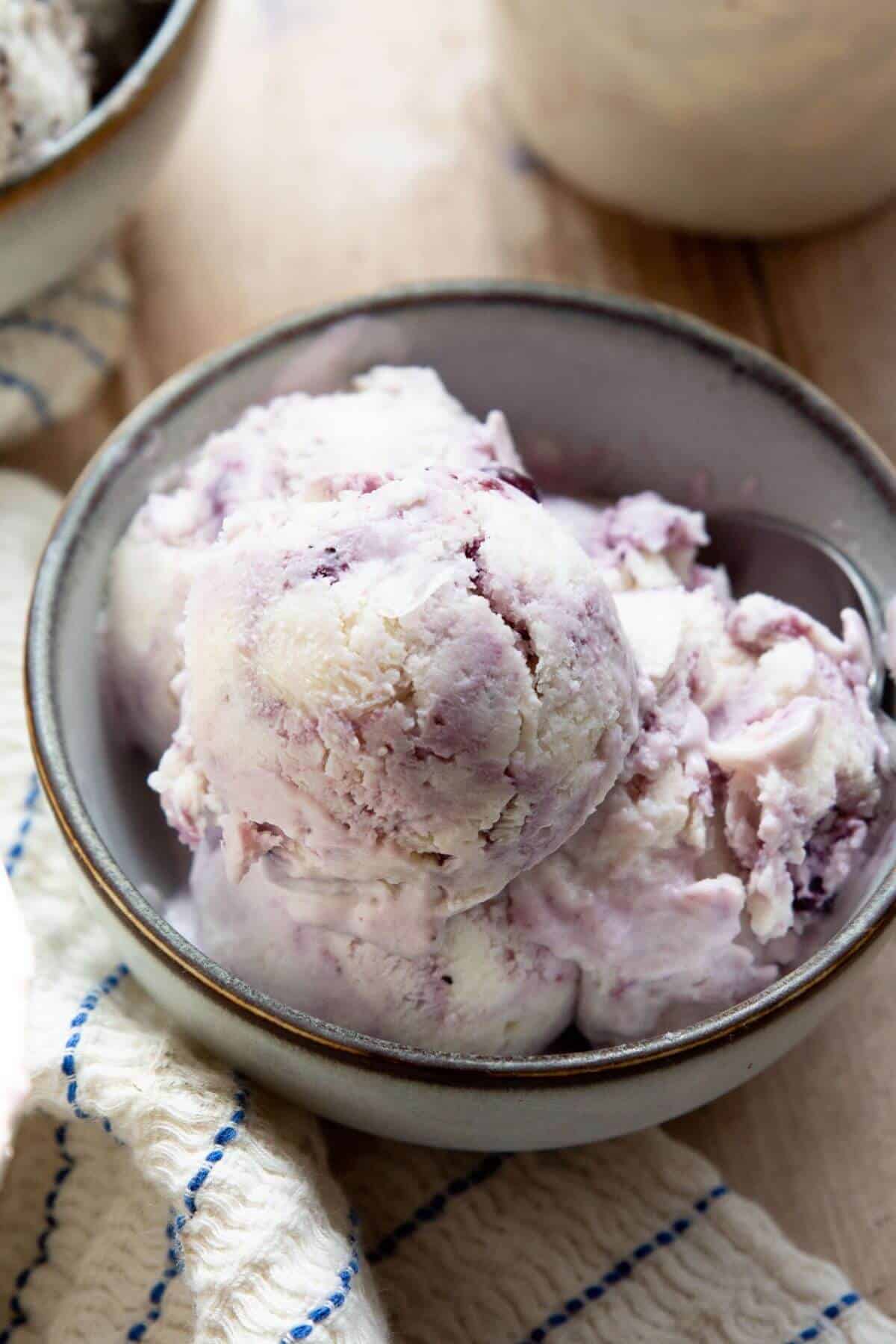 Creamy and smooth blueberry cottage cheese ice cream in a bowl.