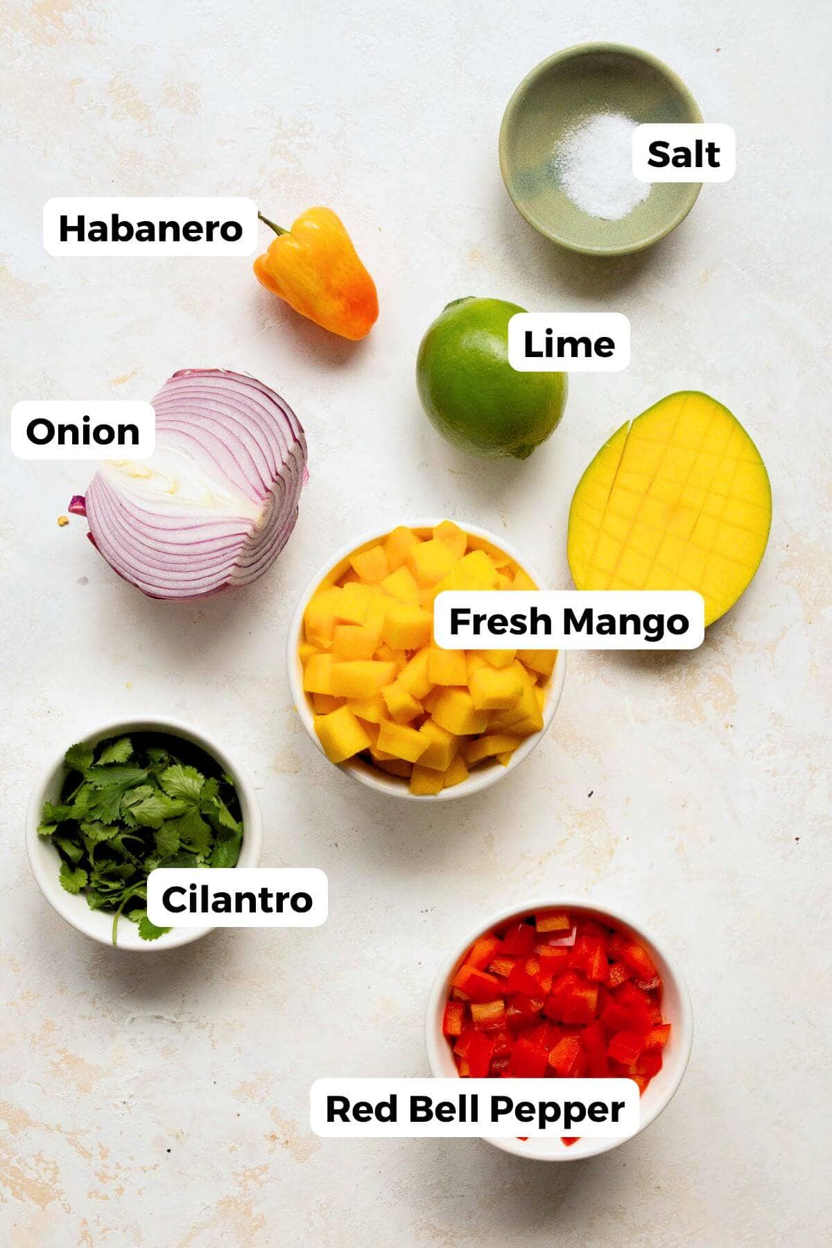 Fresh mango habanero salsa ingredients: mango, red bell pepper, red onion, cilantro, habanero, lime, and salt.