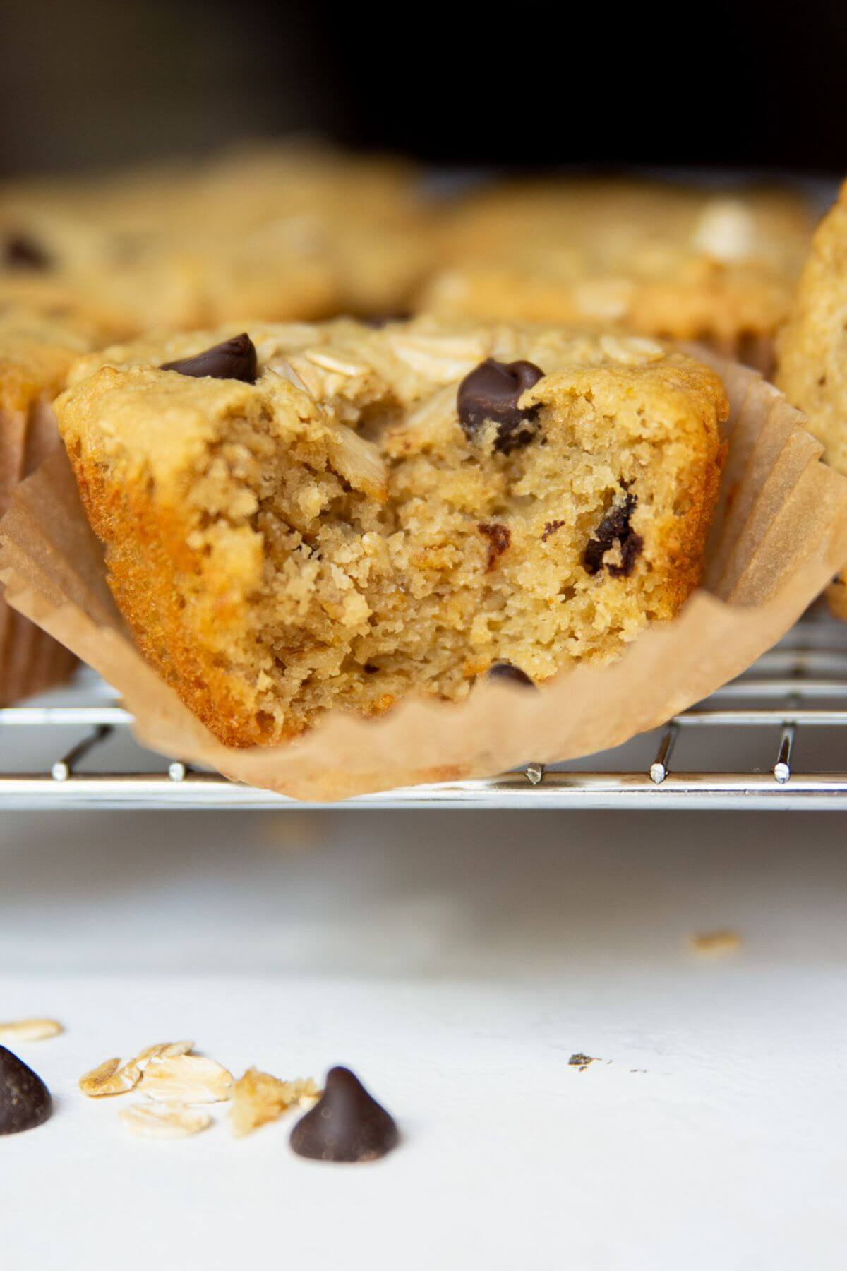 bite shot of a super fluffy and moist chocolate chip oatmeal muffins