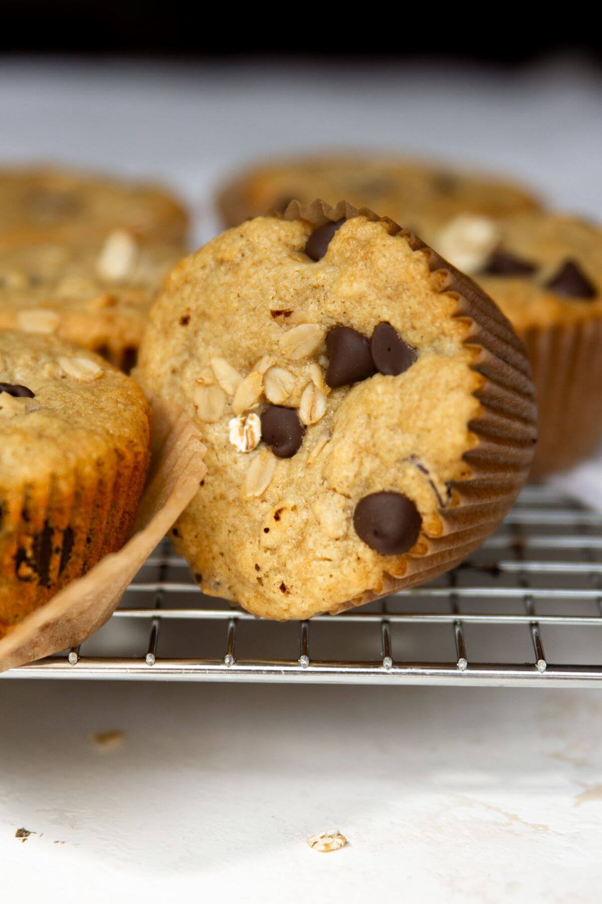 chocolate chip oat muffins