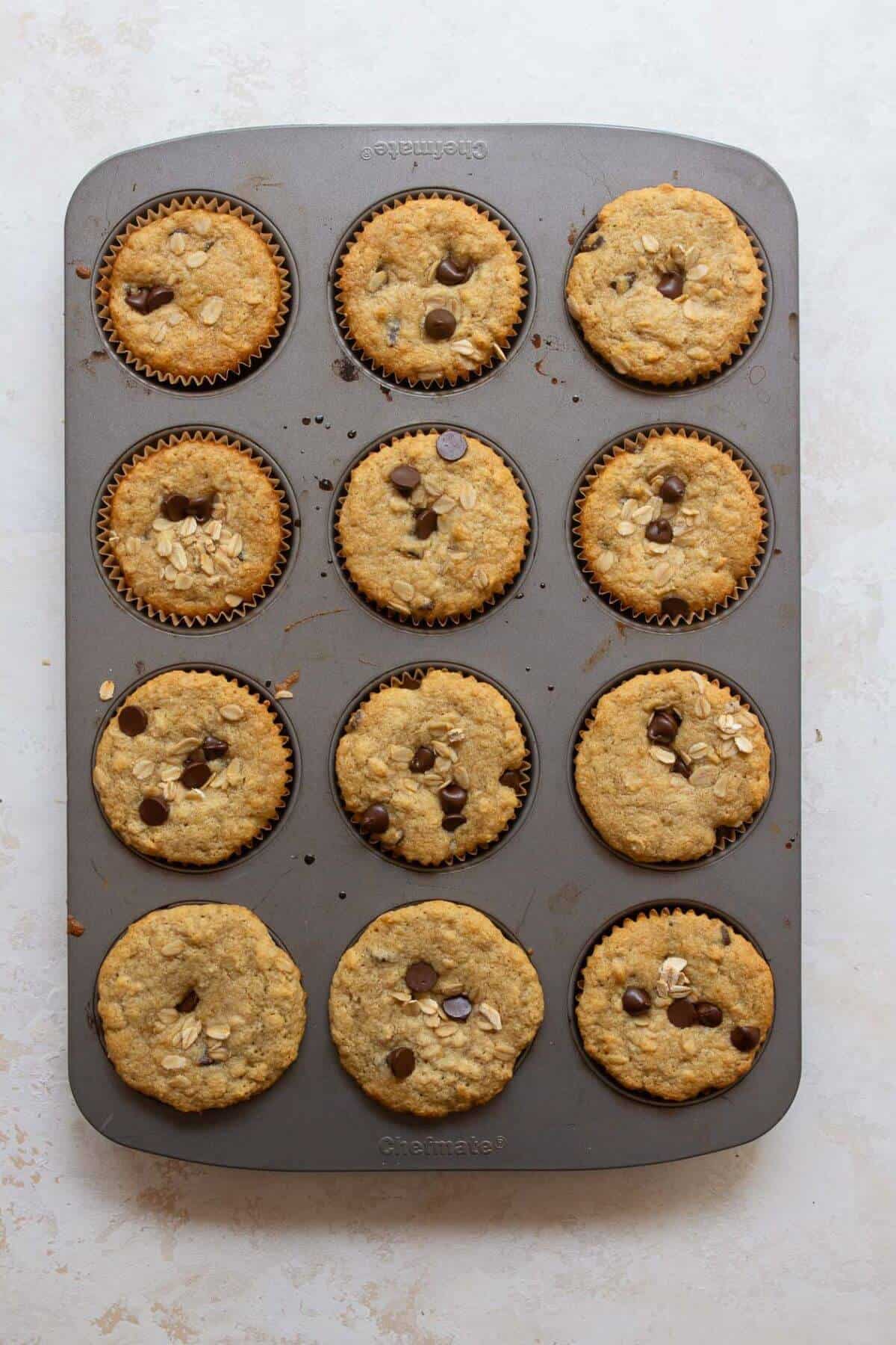 twelve chocolate chip oatmeal muffins in a cupcake pan after baking