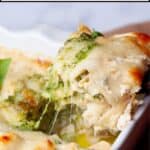 Chicken and Broccoli Lasagna Alfredo