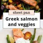 sheet pan salmon and veggies with lemon garlic potatoes
