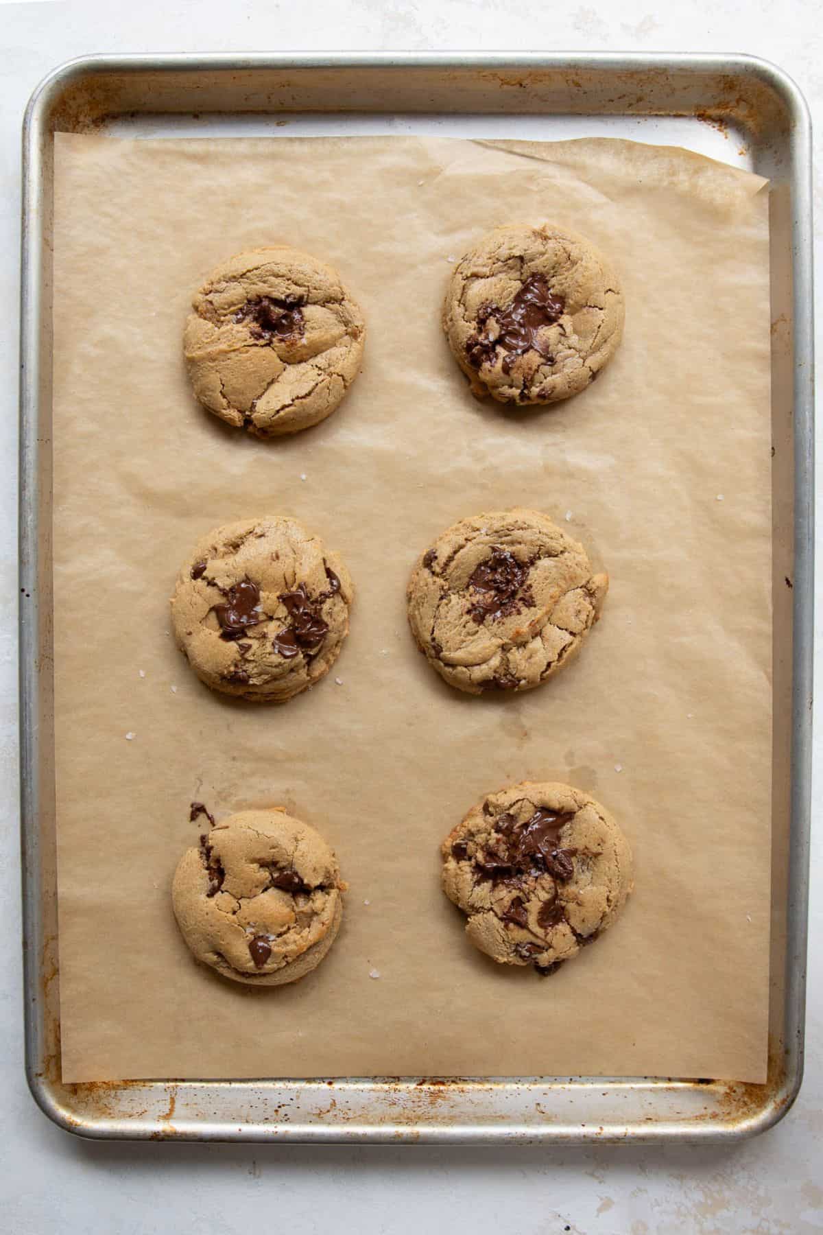 Freshly baked protein chocolate chip cookies on a baking sheet with golden edges and soft centers.