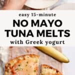 Healthy Open Face Tuna Melts