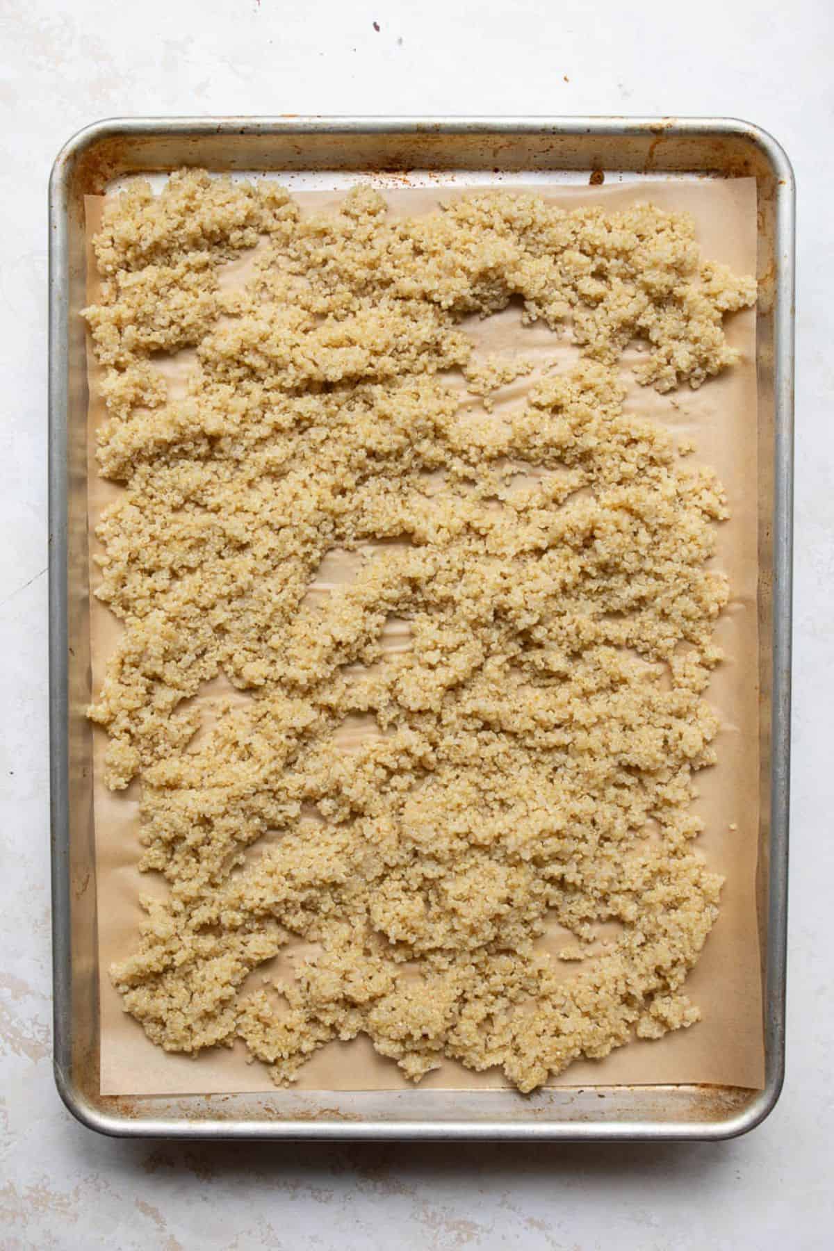 Cooked quinoa spread in a thin layer on a parchment-lined sheet pan to cool.