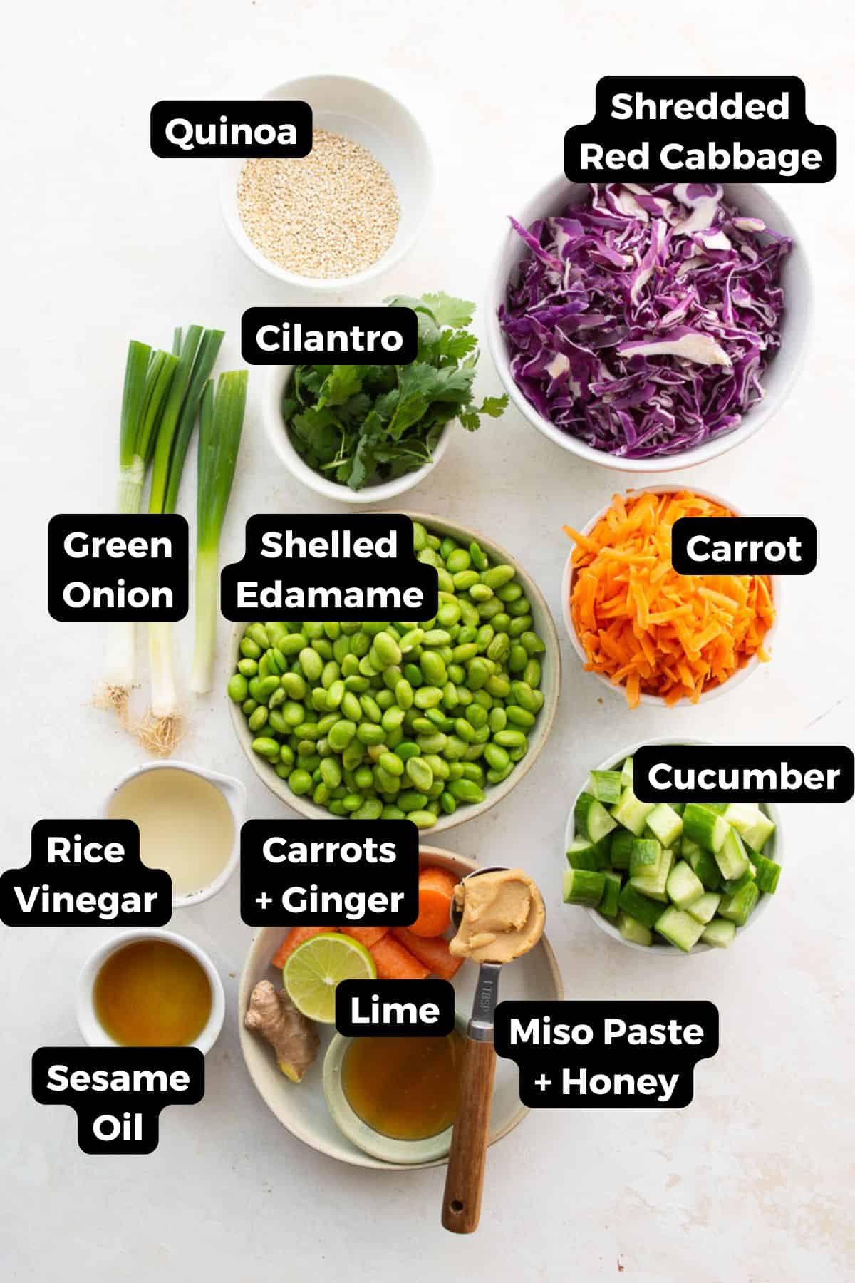Labeled ingredients for Asian edamame crunch salad, including quinoa, shredded red cabbage, cilantro, green onion, shelled edamame, carrot, cucumber, rice vinegar, sesame oil, ginger, lime, miso paste, and honey.