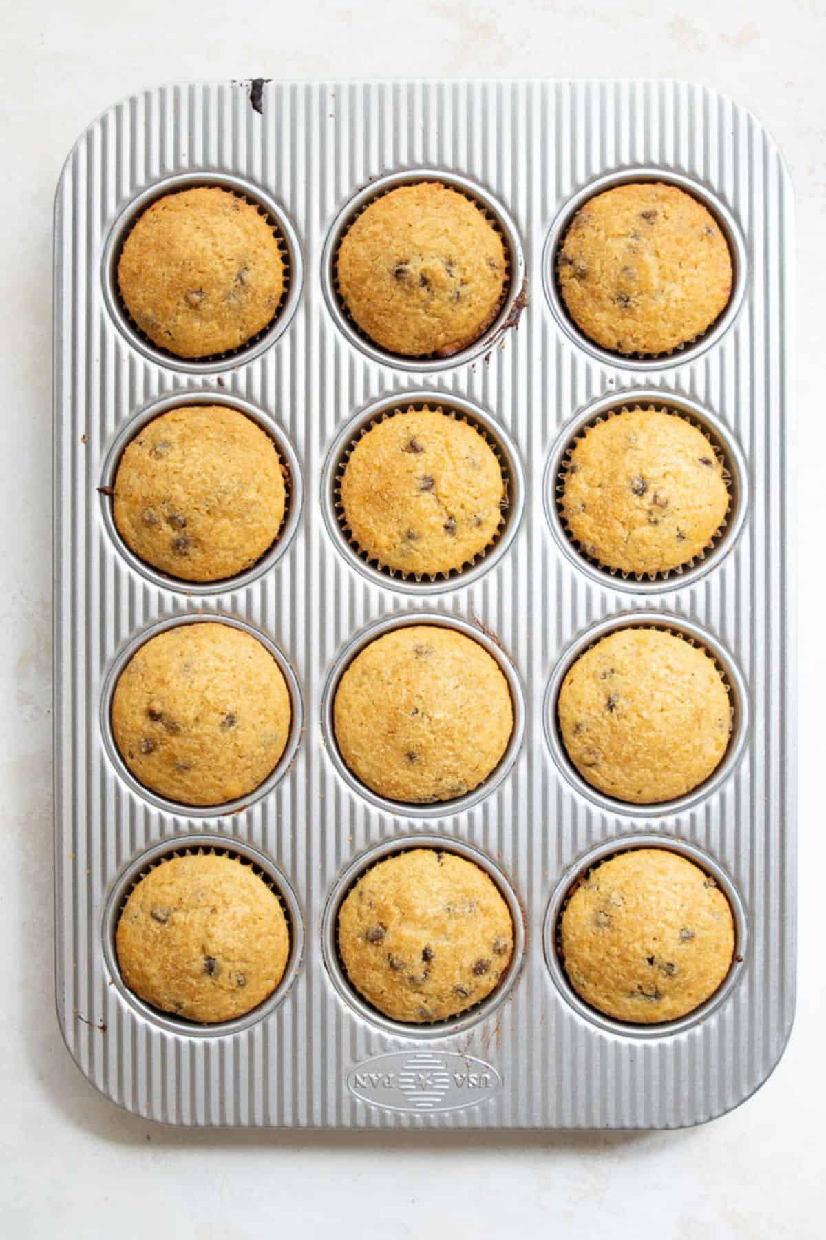 Twelve baked chocolate chip protein muffins with golden domed tops in a metal muffin pan.