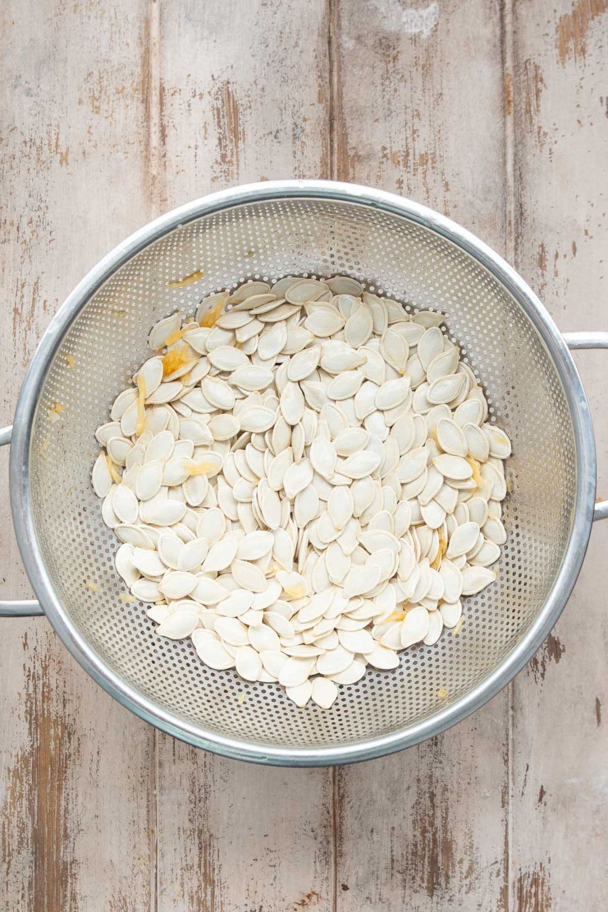Rinsing pumpkin seeds in a colander to clean off strings.