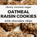 Healthy Oatmeal Raisin Chocolate Chip Cookies