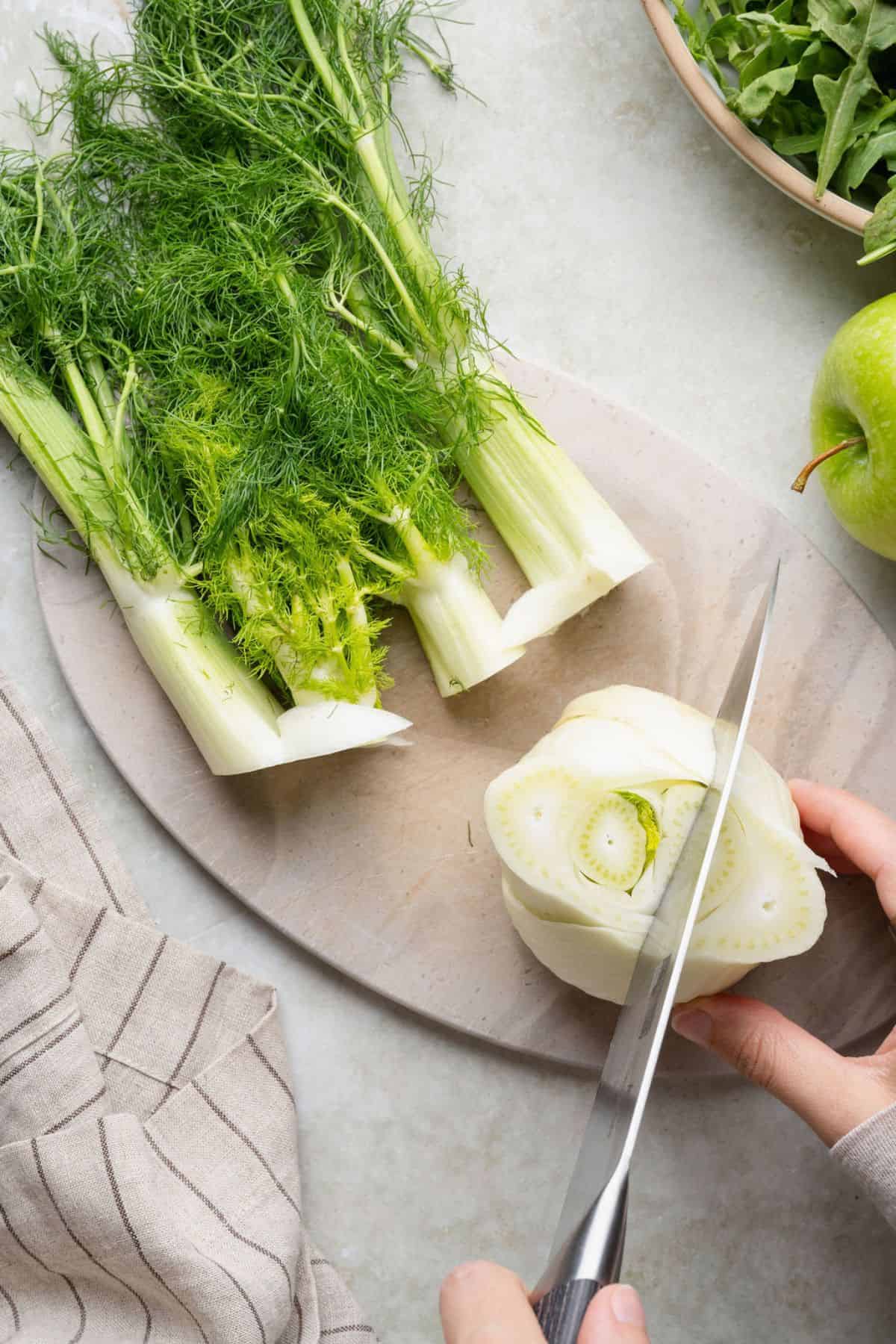 Cutting a trimmed fennel bulb in half lengthwise to prep it for salad.