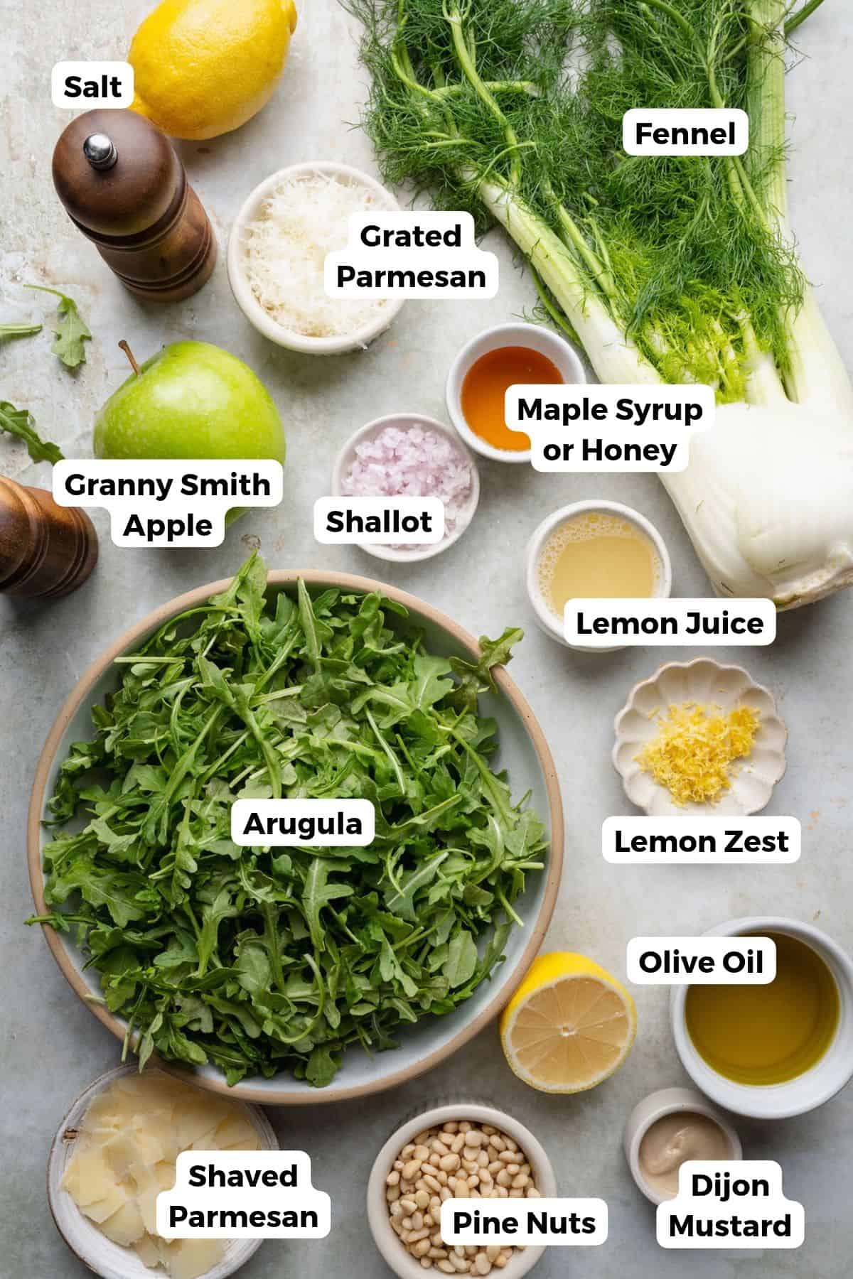 Labeled ingredients for shaved fennel apple salad and lemon Parmesan dressing, including fennel, Granny Smith apple, arugula, grated and shaved Parmesan, shallot, lemon, maple syrup or honey, Dijon mustard, olive oil, pine nuts, salt, and pepper.